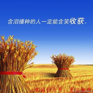 讓你日入一萬的秘密，淺談小峰創(chuàng)業(yè)匯對付出的看法