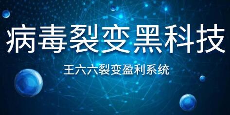 王六六裂變盈利系統(tǒng)課程第六課，病毒裂變黑科技