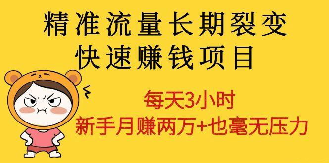 精準流量長期裂變快速賺錢項目：每天3小時 新手月賺兩萬+也毫無壓力