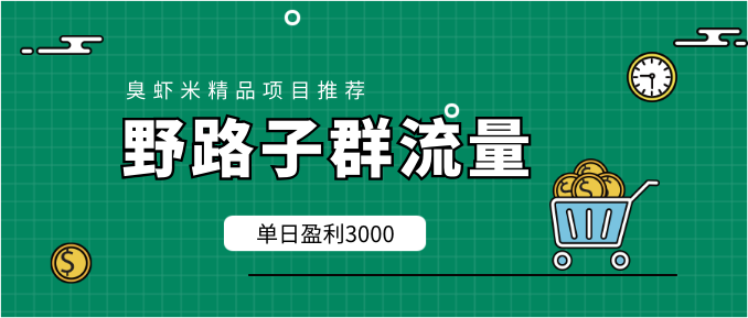 野路子群流量項目：穩(wěn)定之后可實現(xiàn)日盈利3000-5000，輕松實現(xiàn)月入3萬+