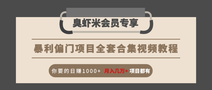 暴利偏門項目全套合集視頻教程：你要的日賺1000+月入幾萬+項目都有