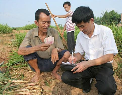 創(chuàng)業(yè)課堂分享未來農(nóng)村幾個賺錢項目，能賺錢還有補貼拿，農(nóng)民不妨試試