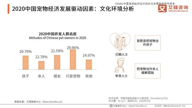 如何打造寵物行業(yè)細分領域的暴利項目！,暴利