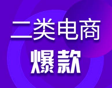 聊一個小眾的電商項目——二類電商，類似1688無貨源，但重廣告投放。,qq群營銷