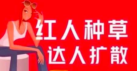 引流,上班族月入6000+小紅書引流賺錢副業(yè)項目，拆解視頻號簡單粗暴玩法！