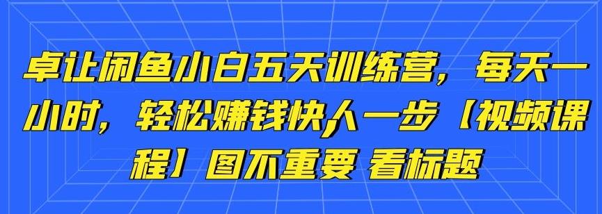 卓讓閑魚小白五天訓練營，每天一小時，輕松賺錢快人一步【視頻課程】