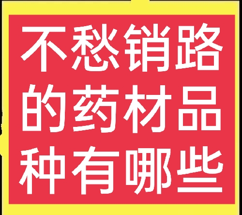 銷路好的短期種植，農(nóng)村種植哪些藥材比較簡(jiǎn)單，不愁銷路？這五種值得一試